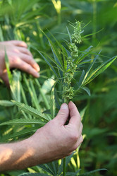 Similar image 21180052