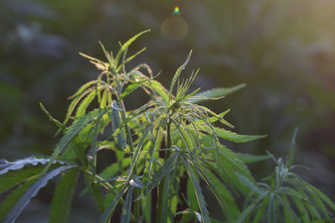 Similar image 21197198