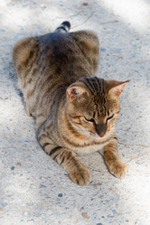 Similar image 21170915