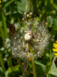 Similar image 21172009