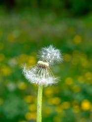 Similar image 21172011