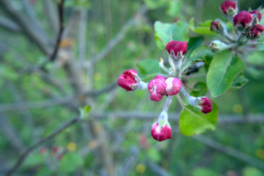 Similar image 21172021