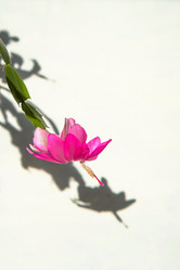 Similar image 21172022