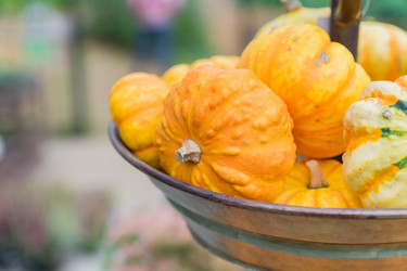 Similar image 21194464