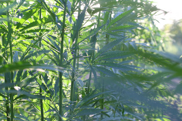 Similar image 21182560