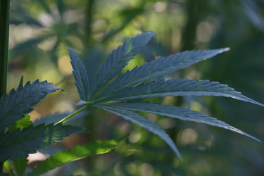 Similar image 21182562