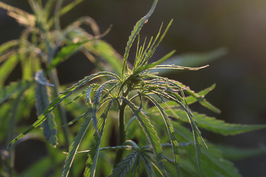 Similar image 21182563