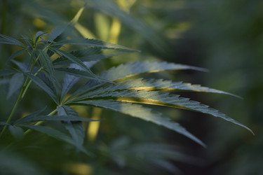 Similar image 21182564