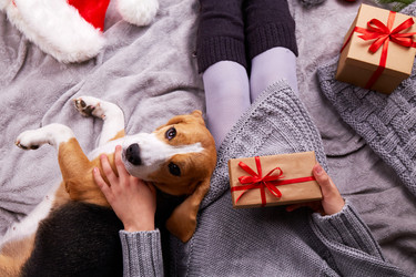 Similar image 21174548