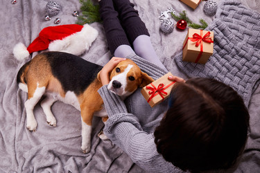 Similar image 21178847