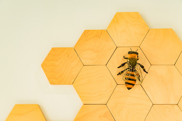 Similar image 21185063