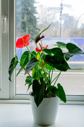 Similar image 21194467