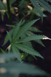 Similar image 21182577