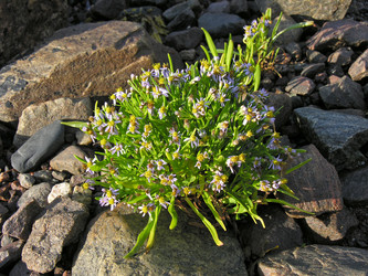 Similar image 21172830