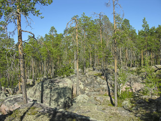 Similar image 21172831