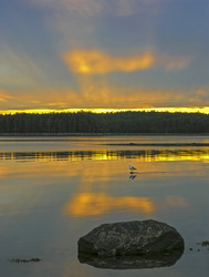 Similar image 21172832