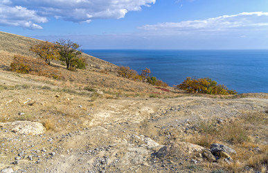 Similar image 21172837