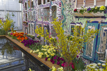 Similar image 21172841