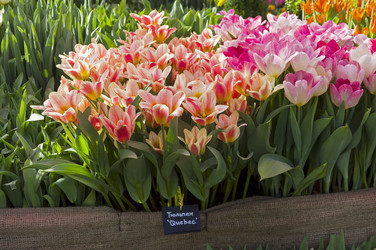 Similar image 21172844