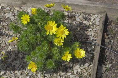 Similar image 21172846