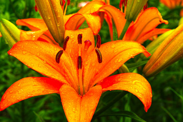 Similar image 21172847