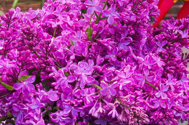 Similar image 21172848