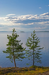 Similar image 21172852