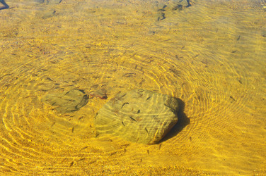 Similar image 21172854