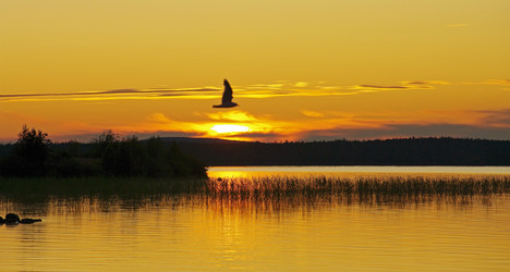 Similar image 21172855