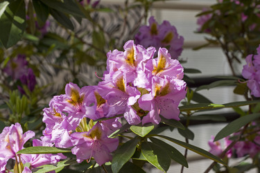 Similar image 21172860