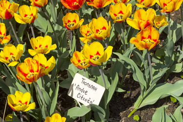 Similar image 21172861