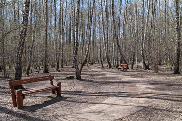 Similar image 21172862