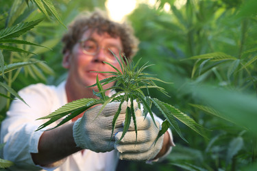 Similar image 21177265