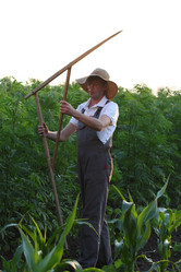 Similar image 21182579