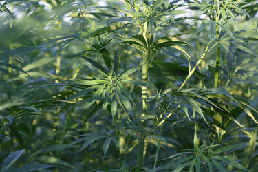 Similar image 21182580