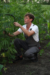 Similar image 21182581