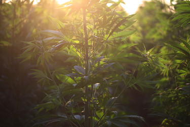 Similar image 21182582