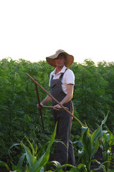 Similar image 21182584