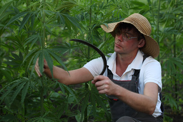 Similar image 21182585