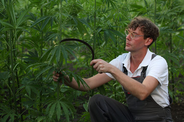 Similar image 21182586