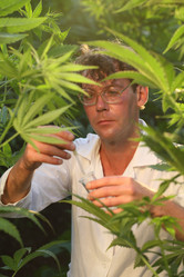 Similar image 21177269