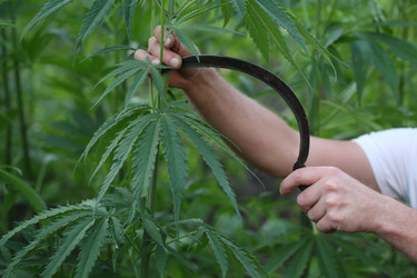 Similar image 21182587