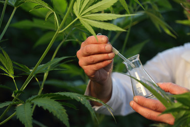 Similar image 21177271