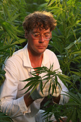 Similar image 21177272