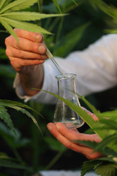 Similar image 21177273