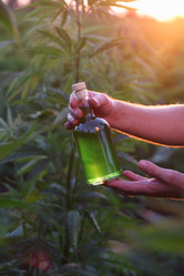 Similar image 21182591