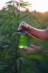 Similar image 21182593