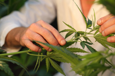 Similar image 21177277