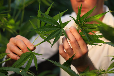 Similar image 21177278