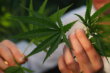 Similar image 21177280